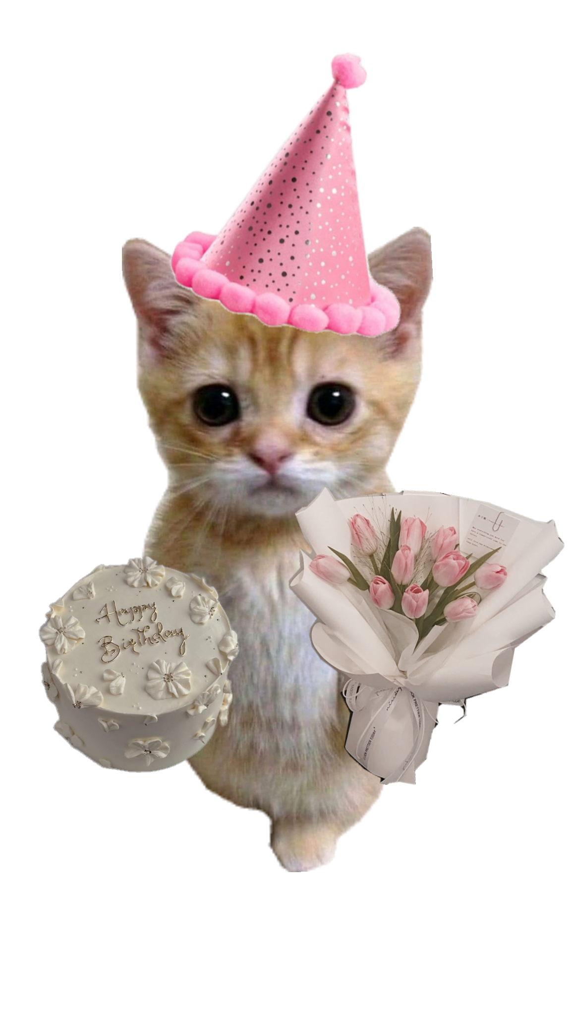 捧着花和蛋糕的小猫
